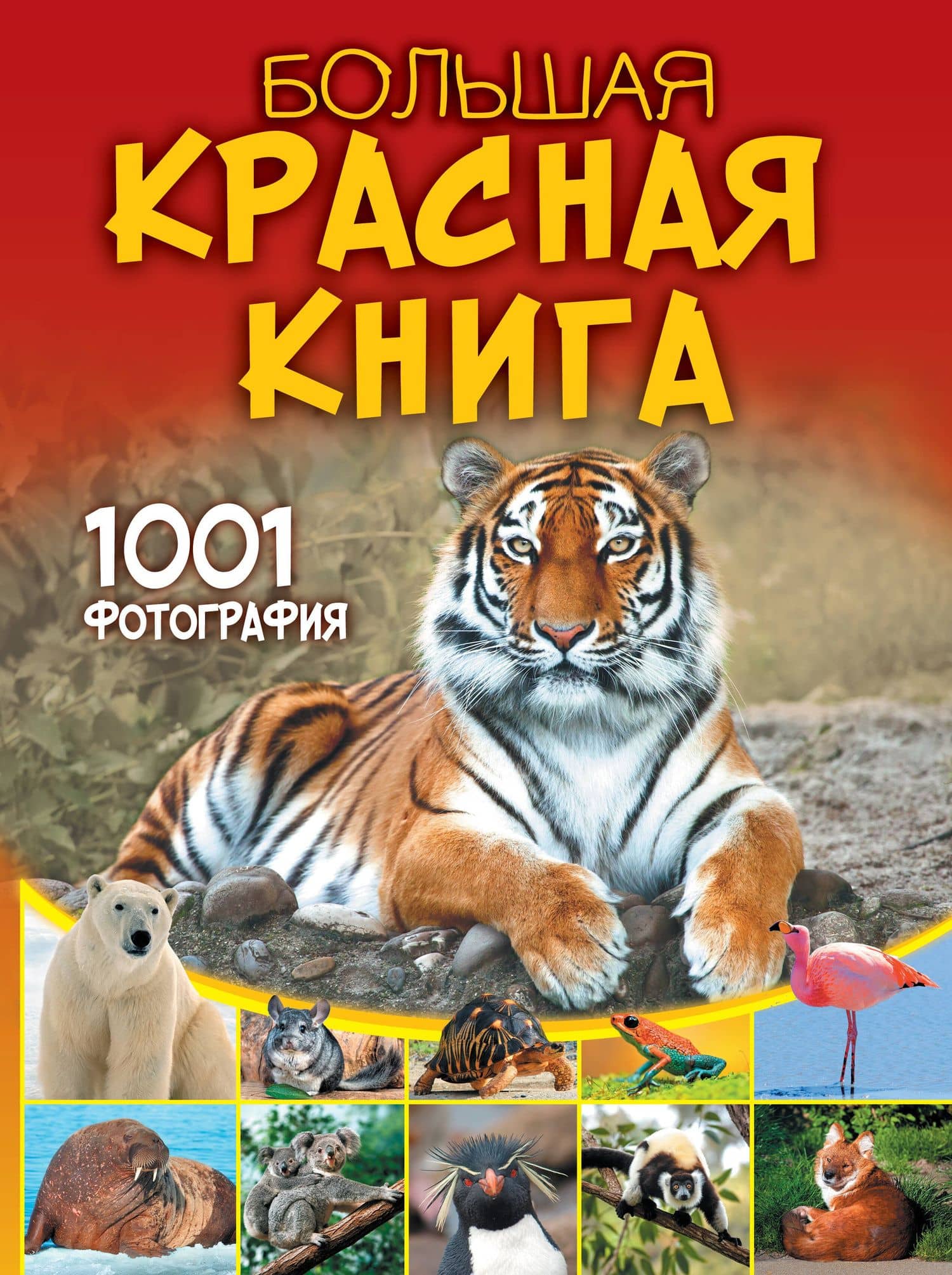 Большая красная книга. 1001 фотография — Анна Спектор