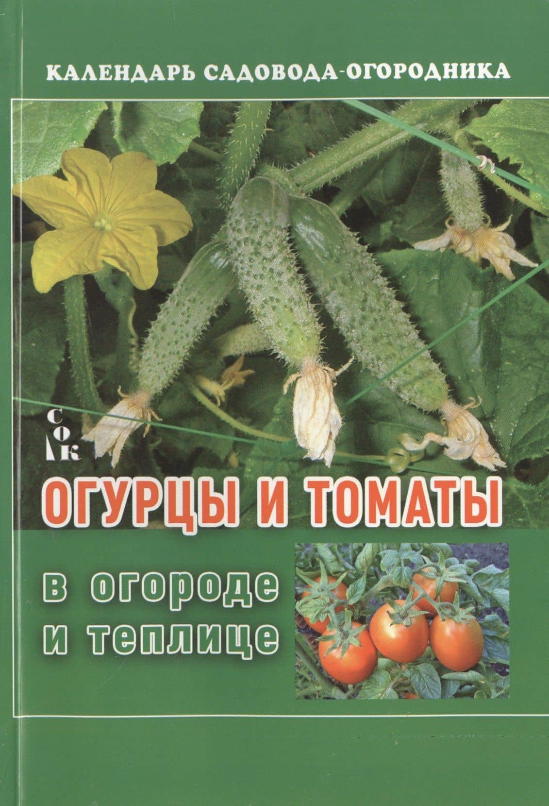Огурцы и томаты в огороде и теплице
