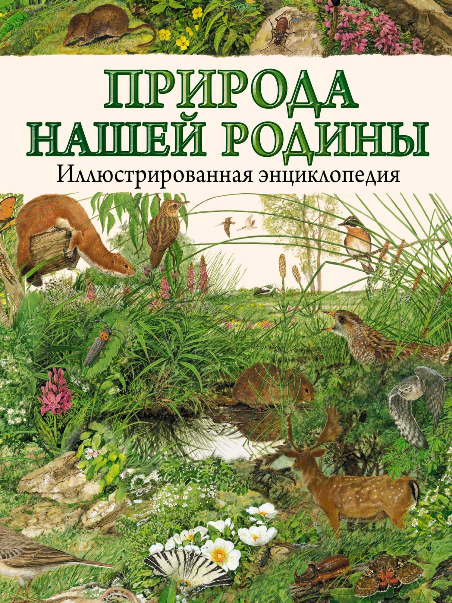 Лондон. Карта + русско-английский разговорник