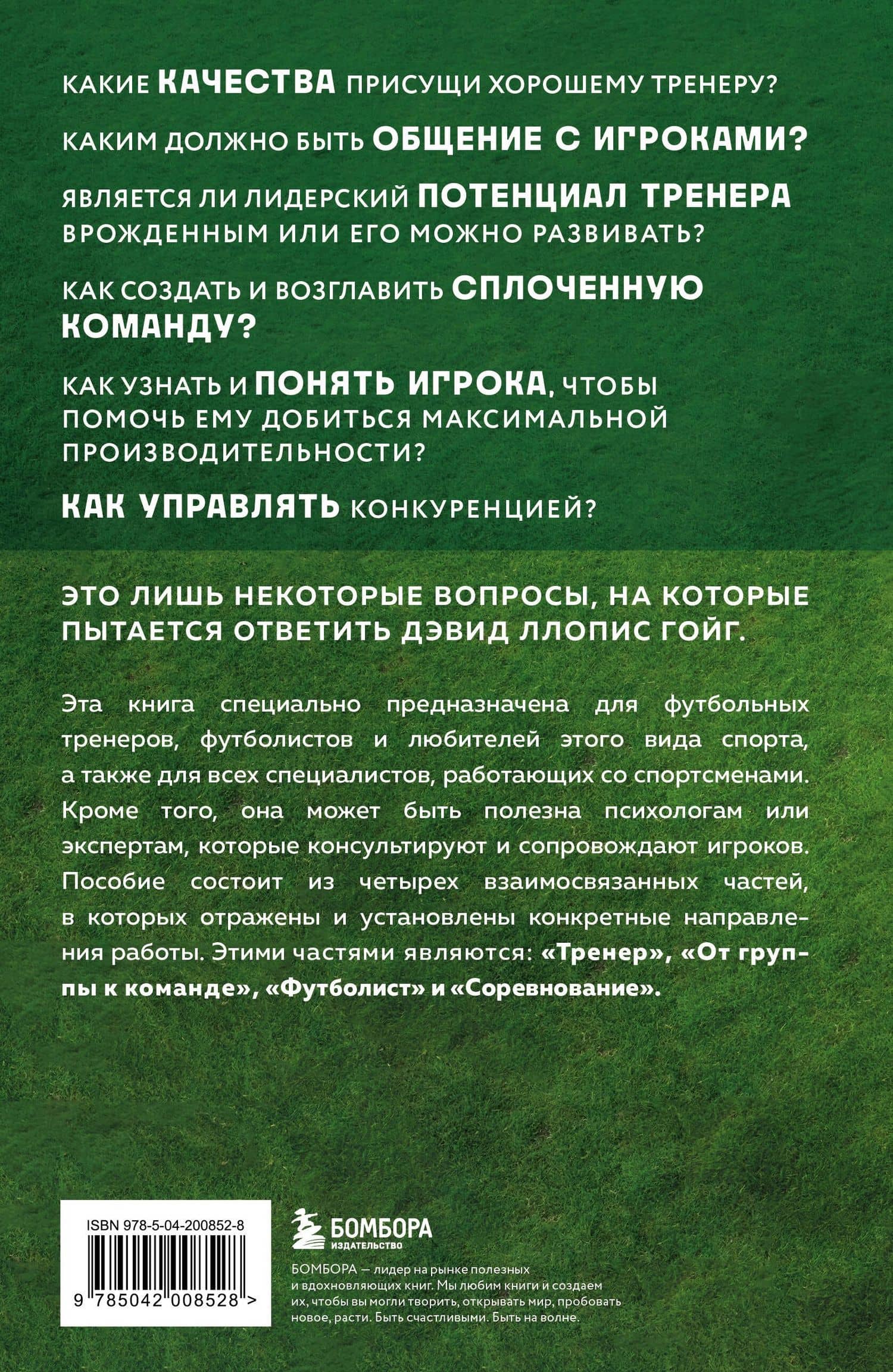 Психология футбола. Искусство мотивации и достижения успеха на поле — Дэвид Ллопис Гойг (2)