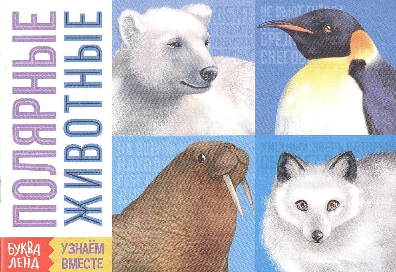 Обучающая книга «Полярные животные»