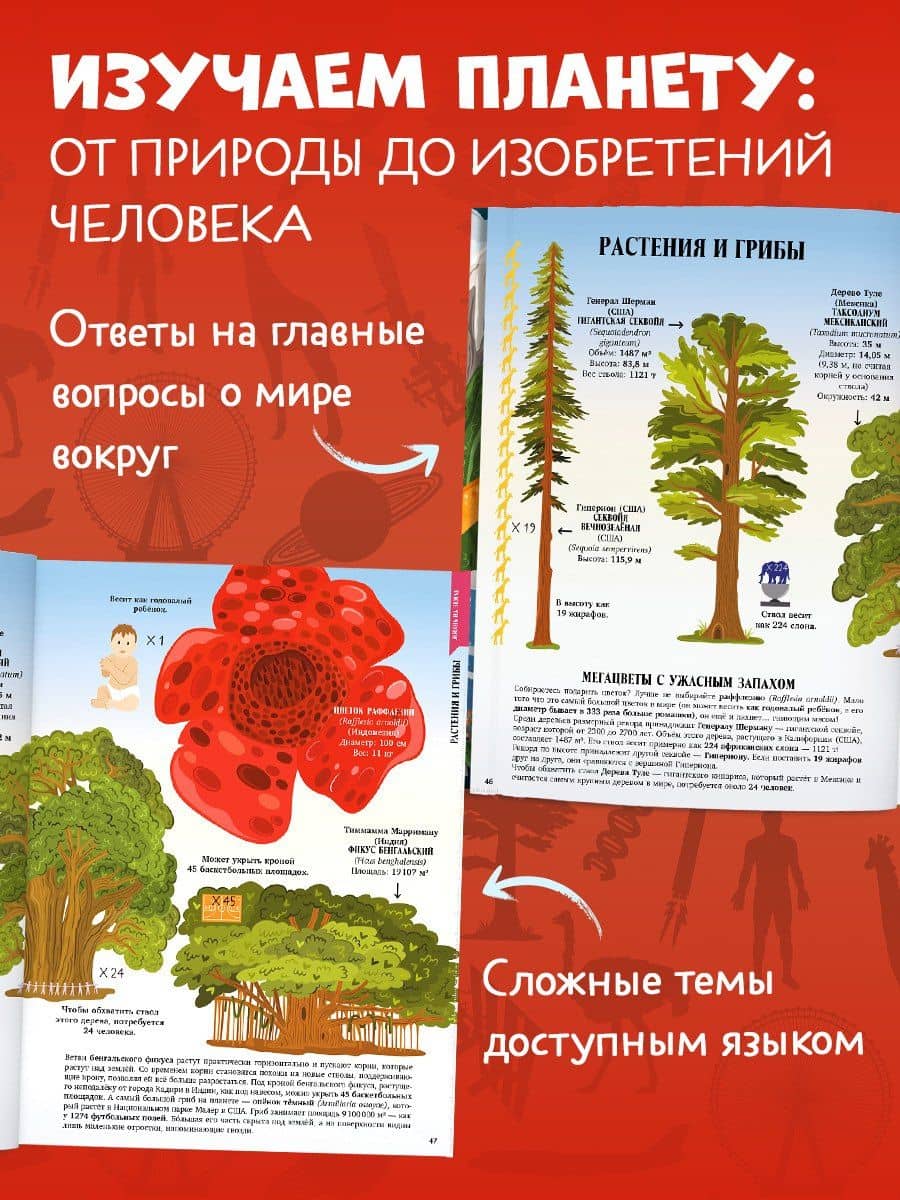 Земля от атома до галактики. Масштабы мира в цифрах — Андреа Минольо (3)