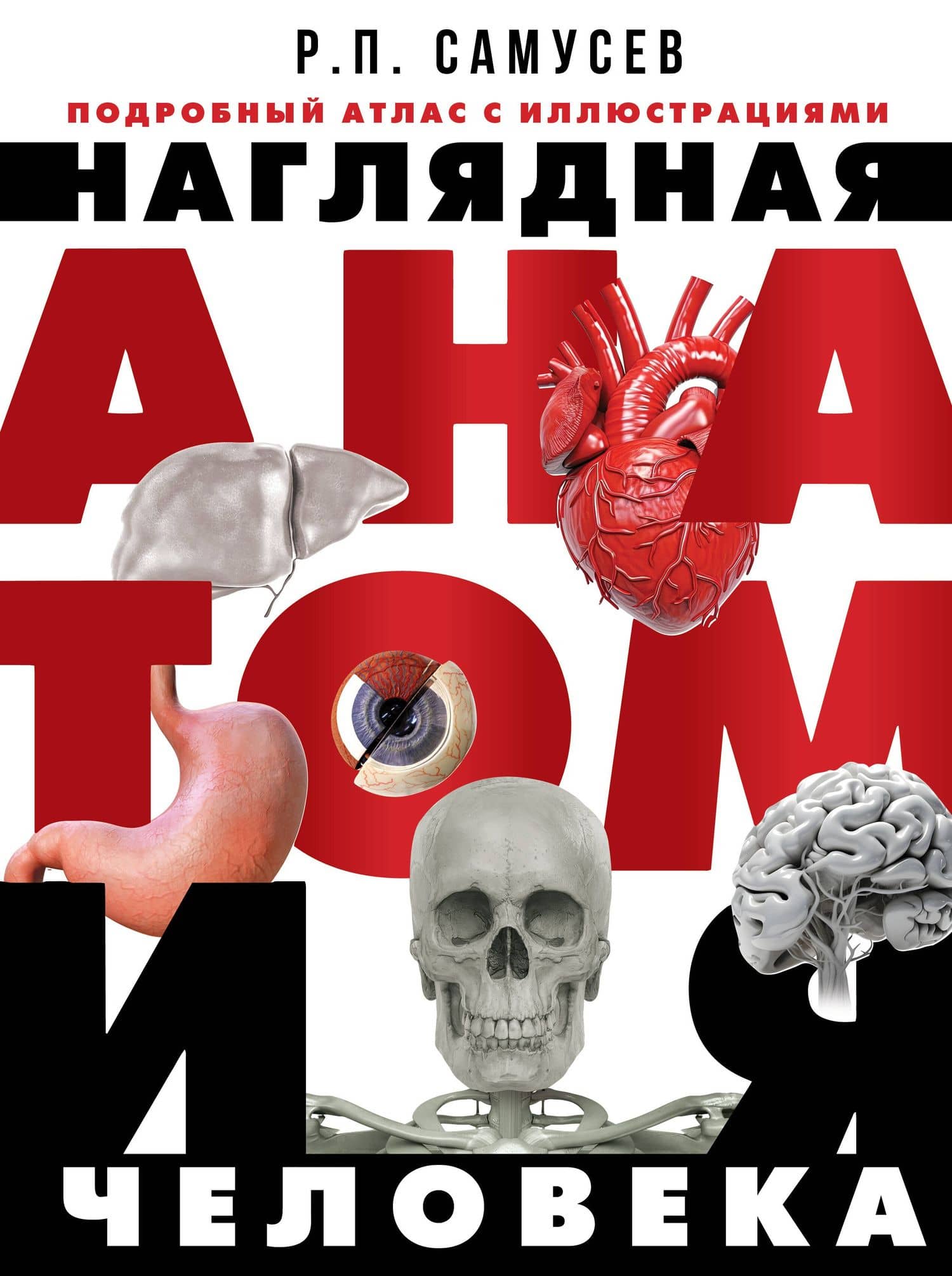 Наглядная анатомия человека. Подробный атлас с иллюстрациями — Рудольф Павлович Самусев