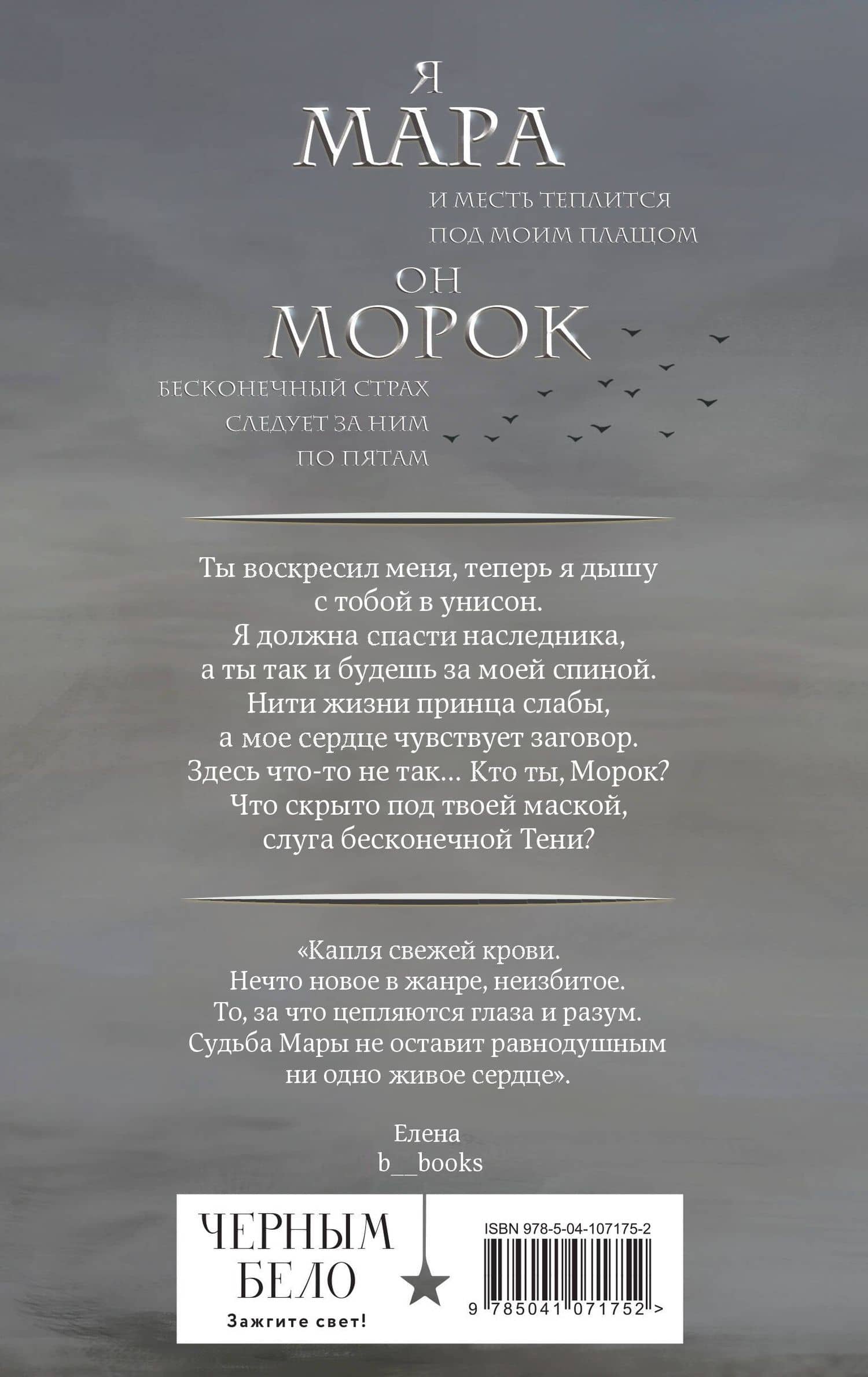 Мара и Морок (книга+тетрадь) — Лия Арден (2)