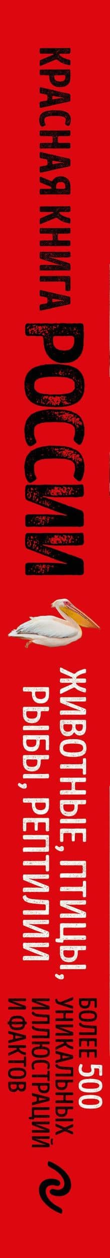 Красная книга России. Большой формат. Более 500 уникальных иллюстраций и фактов (новое издание) (основной) — Юлия Михайловна Добрыня (3)