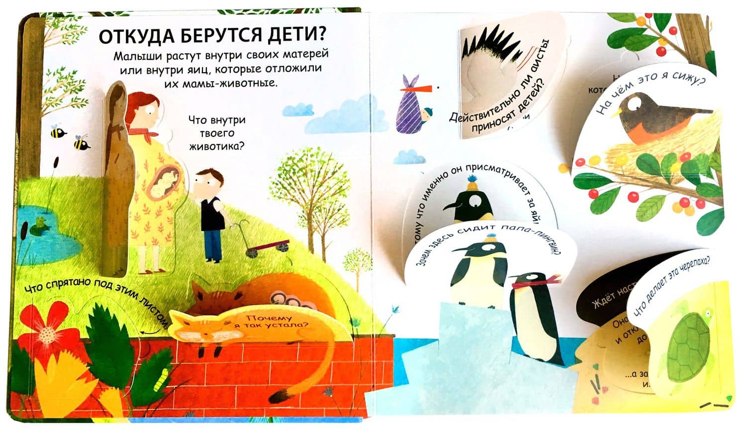 Откуда берутся дети — Кэти Дэйнс (2)