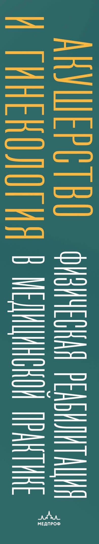 Акушерство и гинекология. Физическая реабилитация в медицинской практике — Константин Валентинович Котенко (3)
