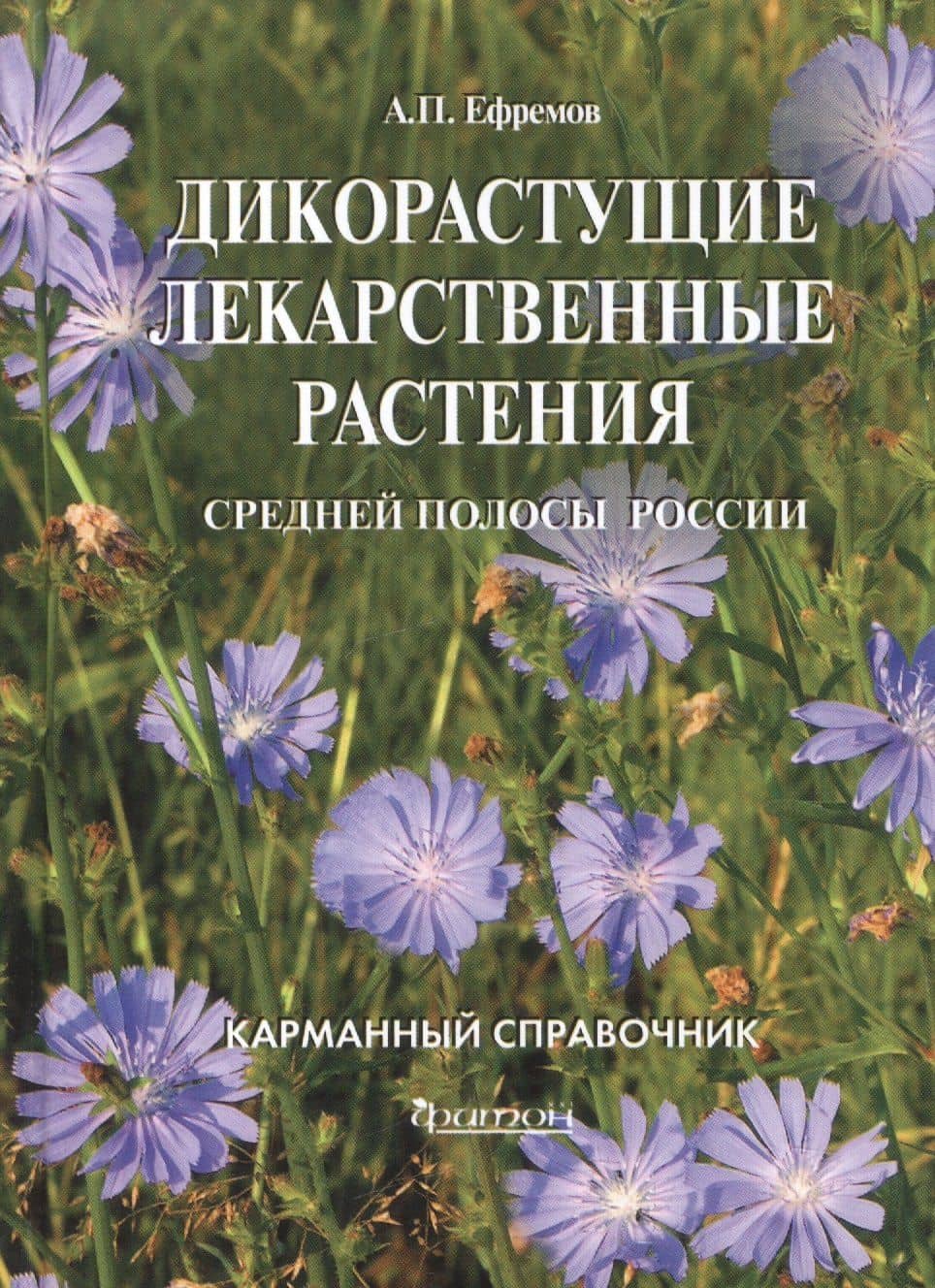 Дикорастущие лекарственные растения средней полосы