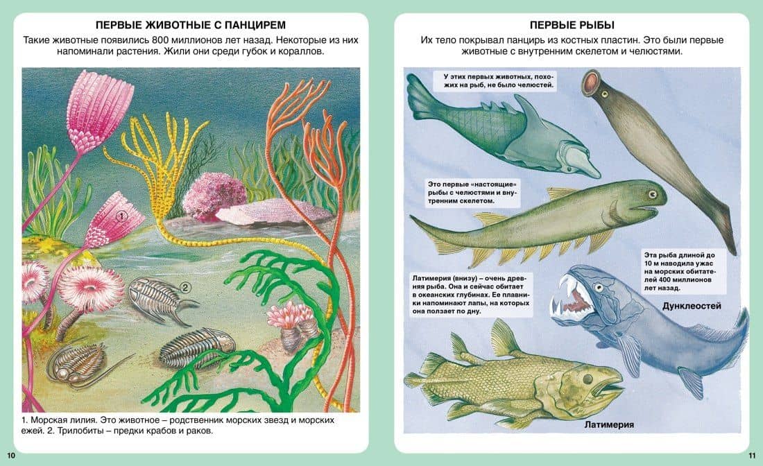 Тайны моря — Эмили Бомон (3)