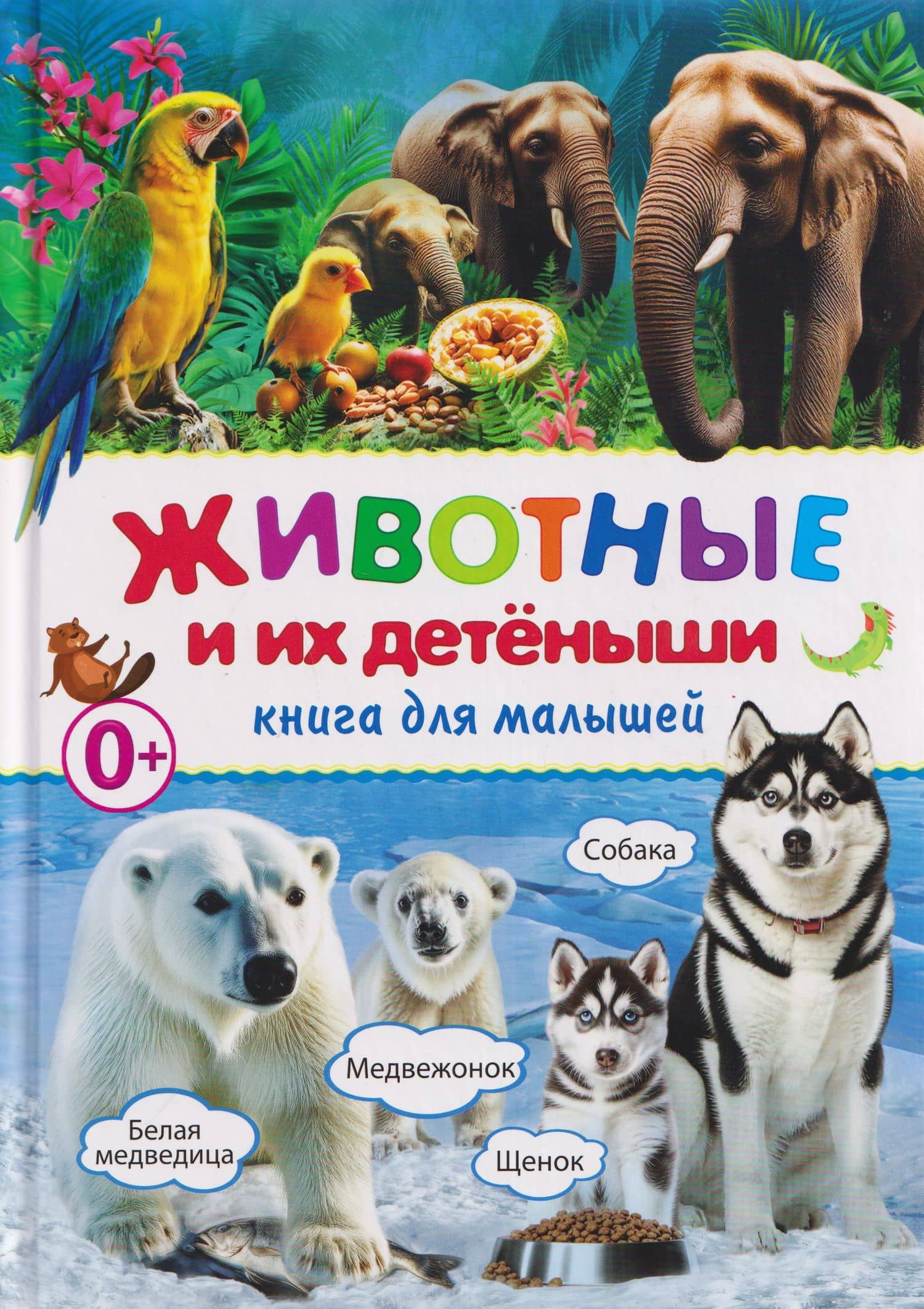 Животные и их детёныши. Книга для малышей