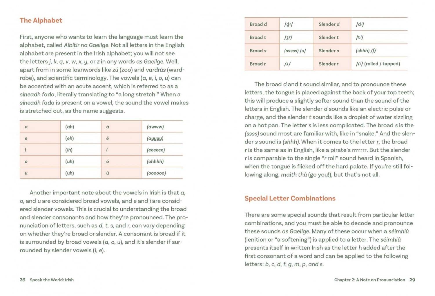 Irish. History & Culture Through Language — Laura Pakenham (2)