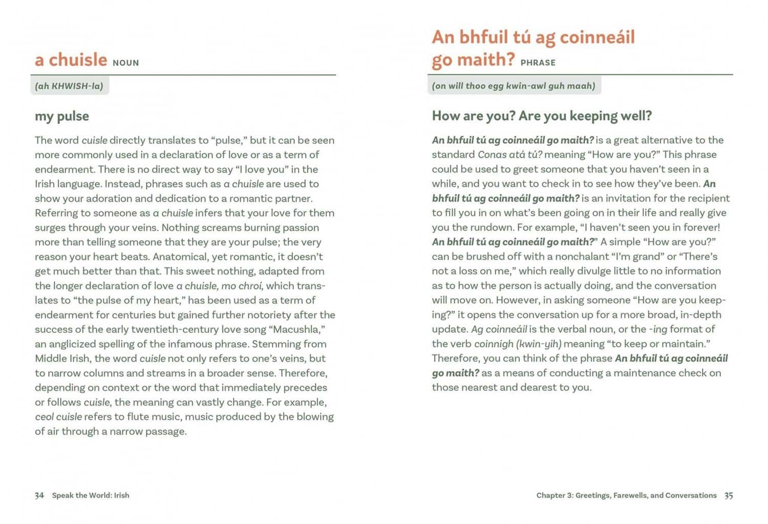 Irish. History & Culture Through Language — Laura Pakenham (3)