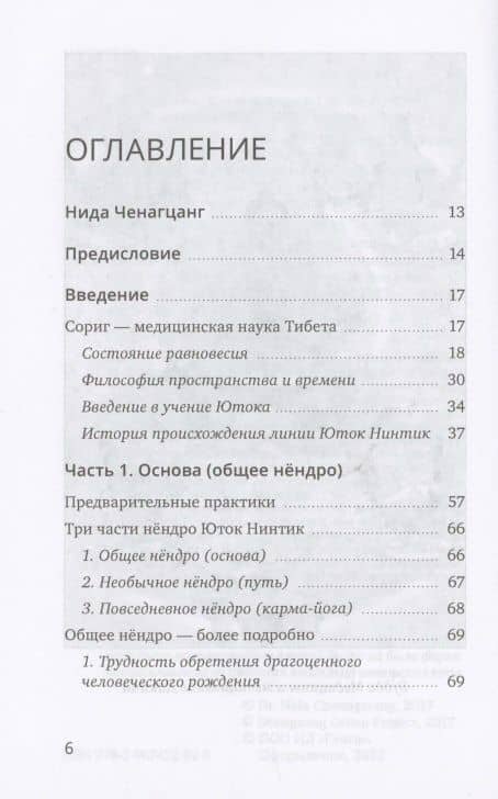 Искусство благой кармы. Духовные практики тибетской медицины — Нида Ченагцанг (2)