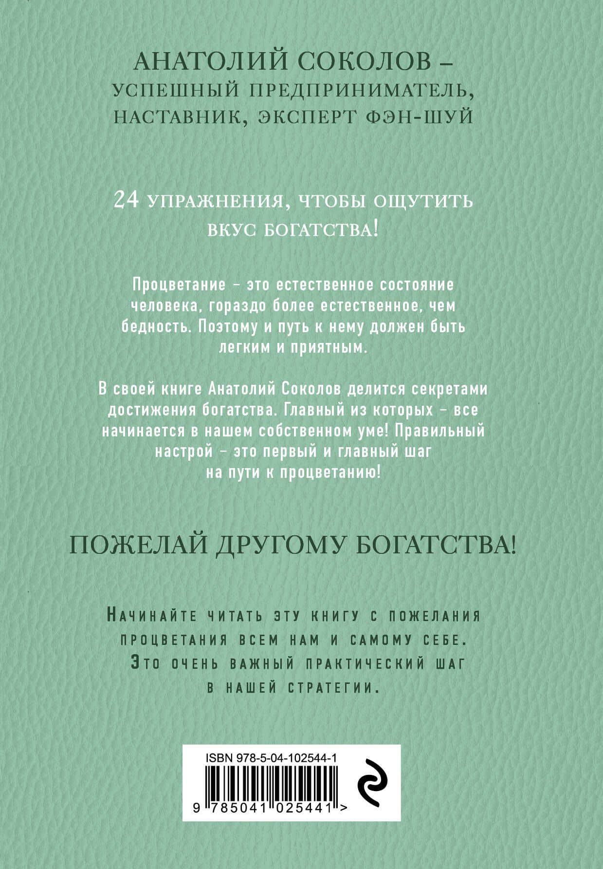 Деньги в вашей голове. Стратегия на миллион — Анатолий Борисович Соколов (2)