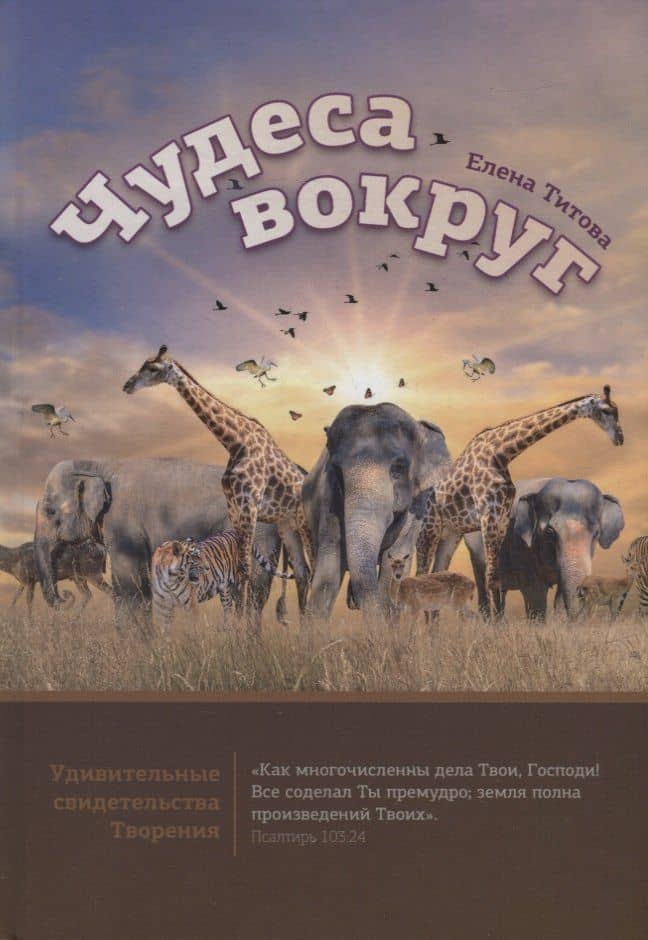 Чудеса вокруг — Елена Тихоновна Титова
