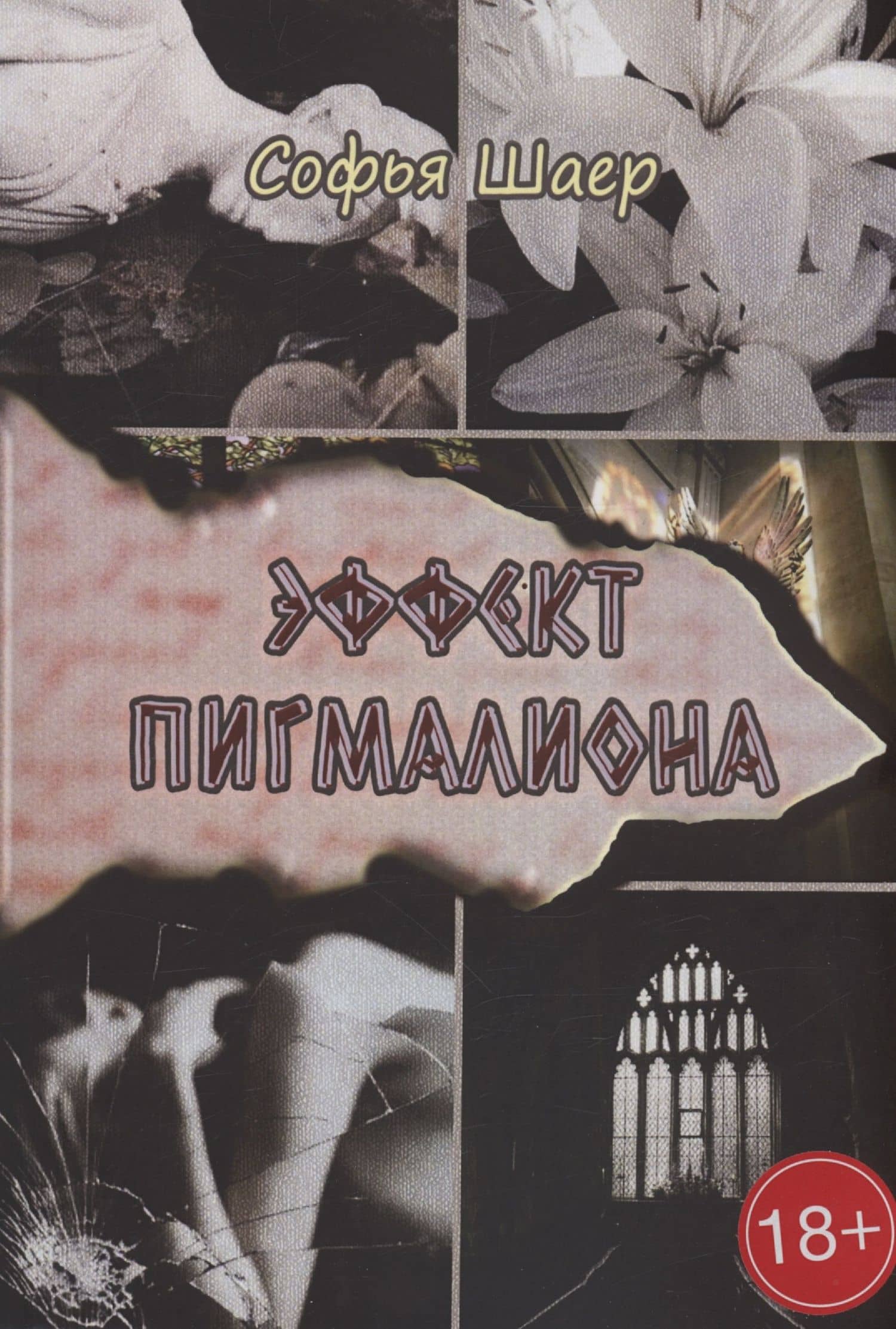 Эффект Пигмалиона — Софья Шаер