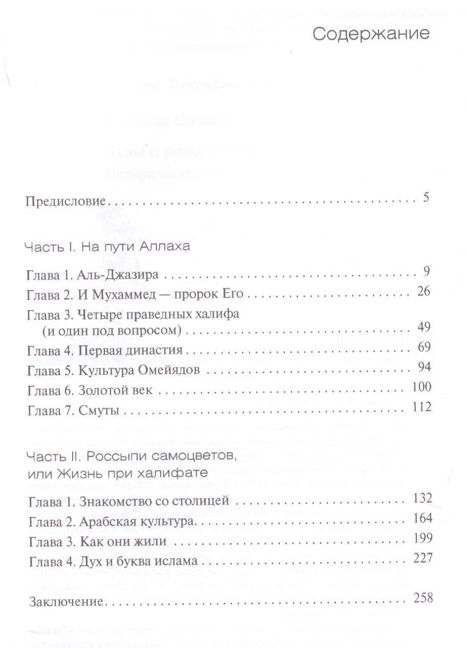 Львы и розы ислама. Историческое путешествие от Мекки до Багдада — Владимир Соколов (2)