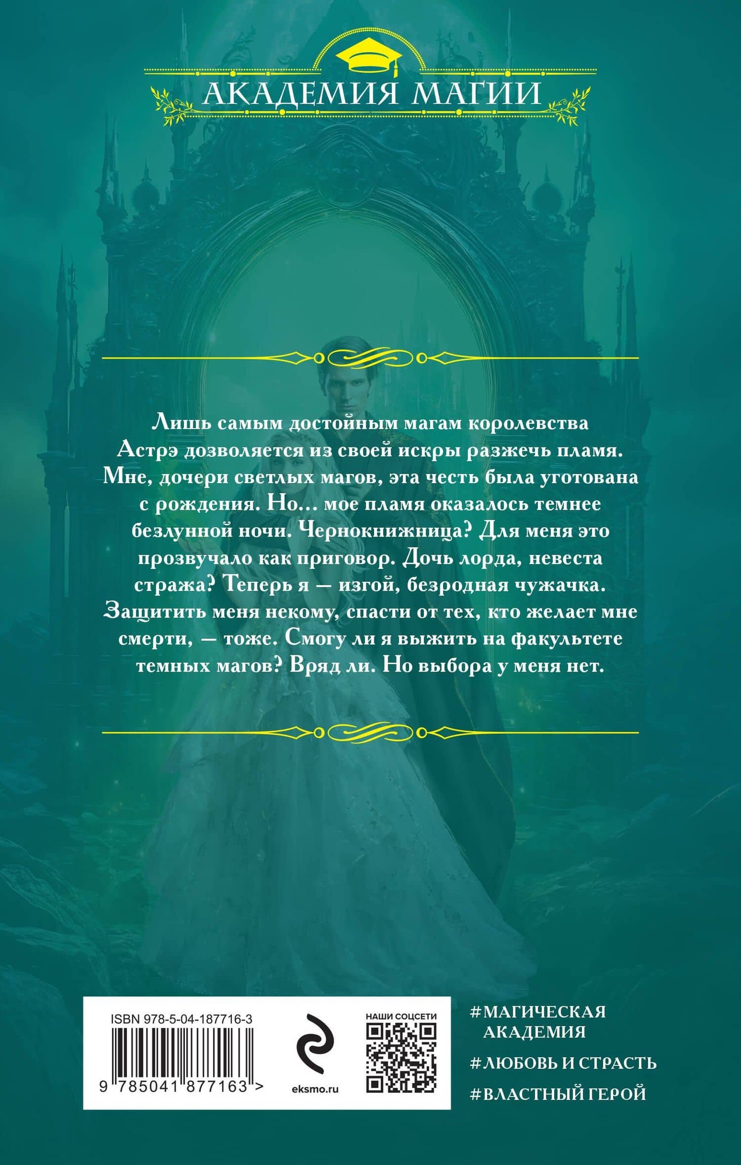 Академия сумерек. Темное пламя — Александра Гринберг (2)
