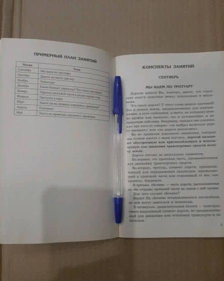 Беседы о правилах дорожного движения с детьми 5-8 лет — Татьяна Андреевна Шорыгина (3)