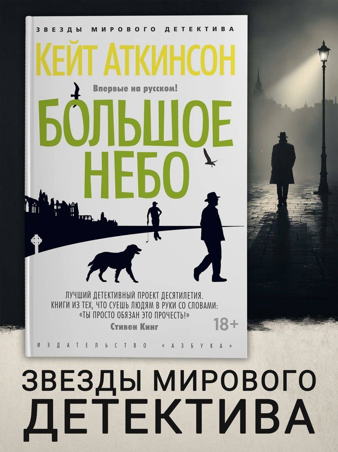Большое небо — Кейт Аткинсон (3)