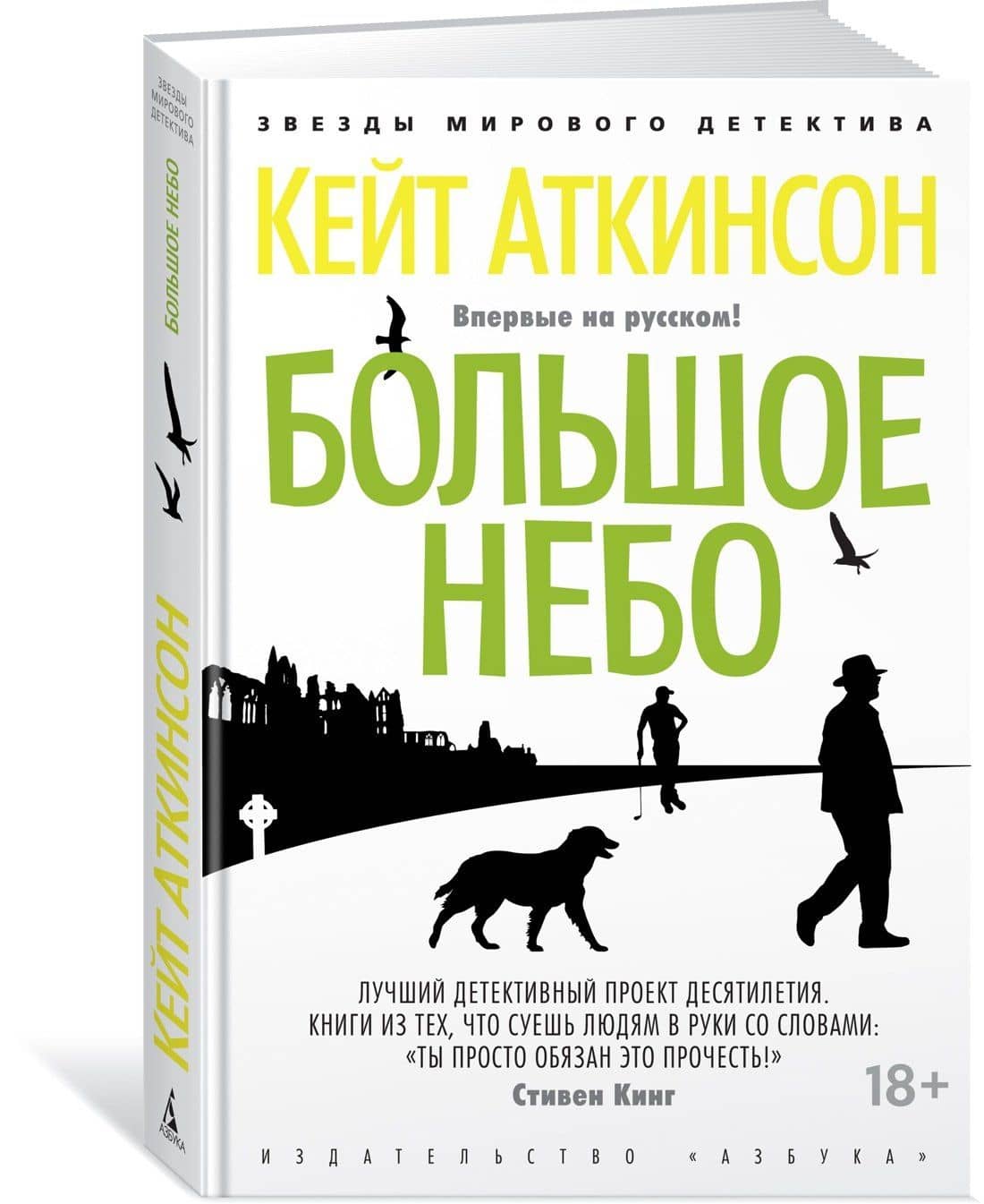 Большое небо — Кейт Аткинсон (2)