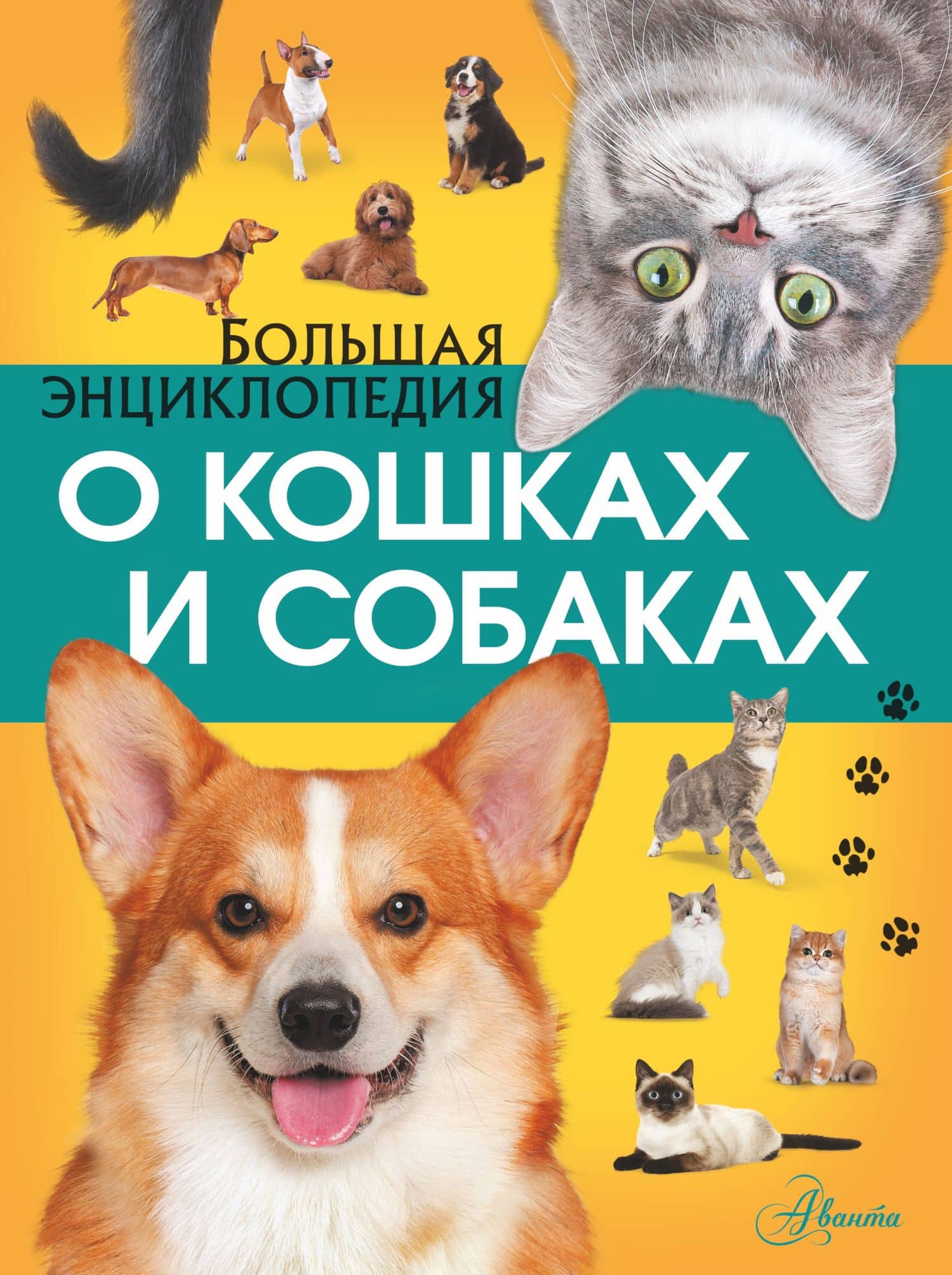 Большая энциклопедия о кошках и собаках — Любовь Дмитриевна Вайткене