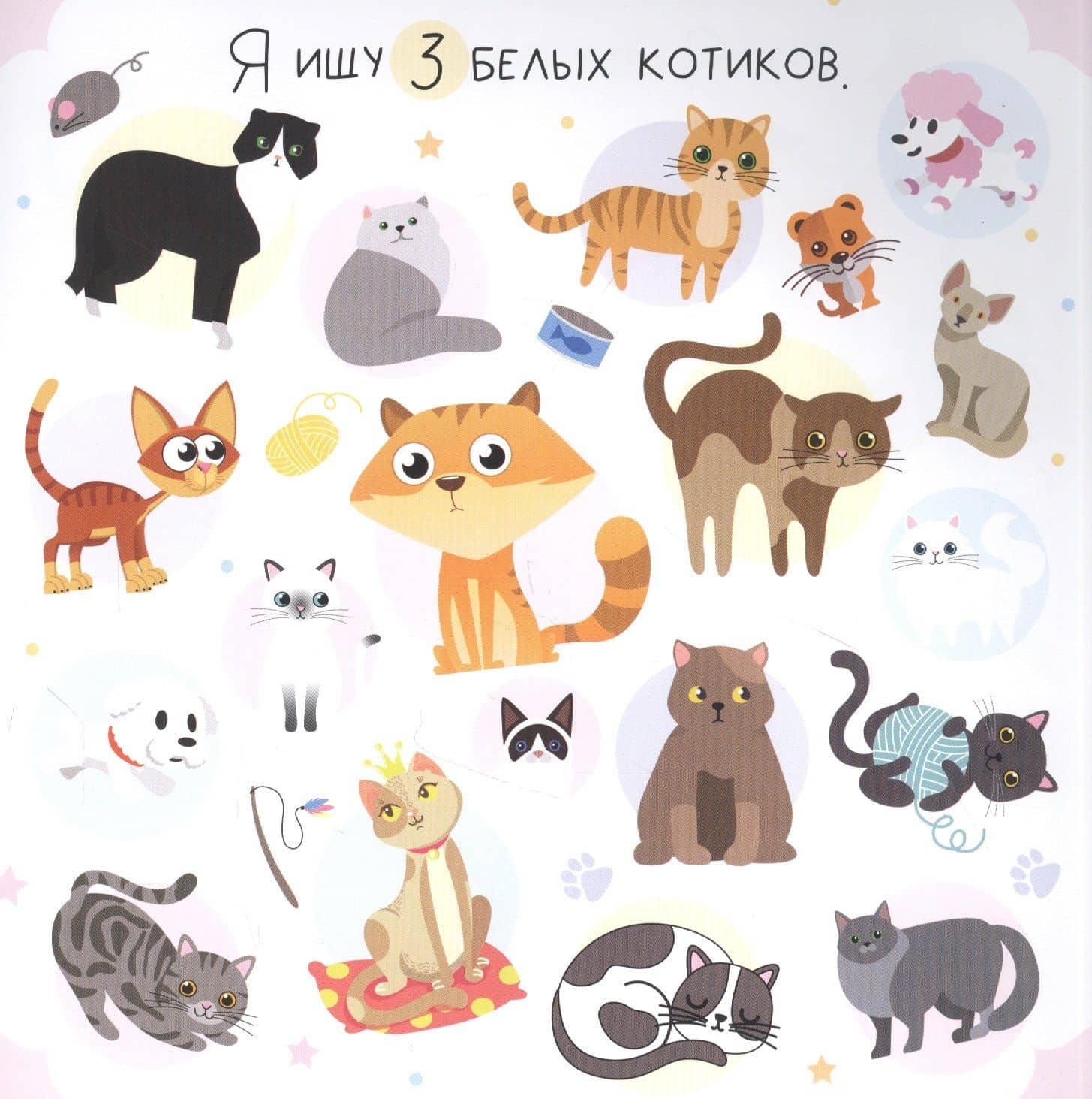 Я ищу Для девочек — Алена Лядова (2)