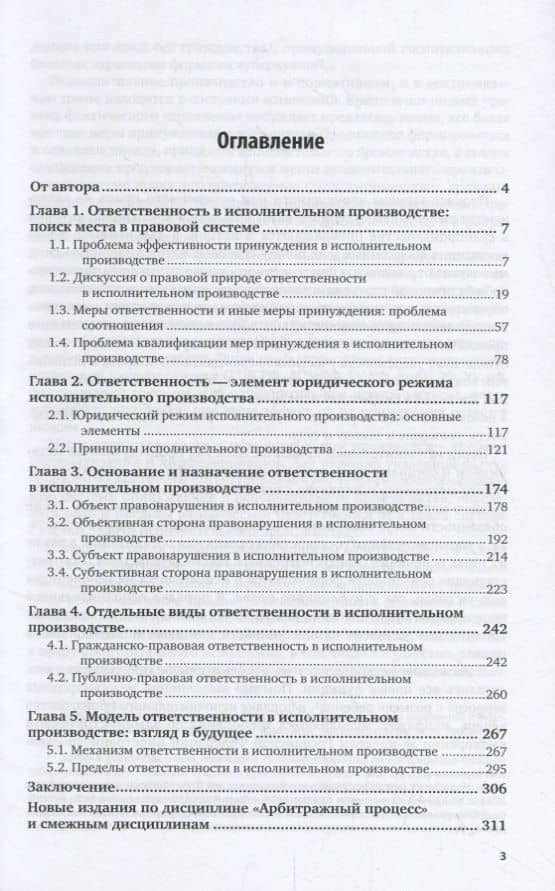 Ответственность в механизме исполнительного производства (2)