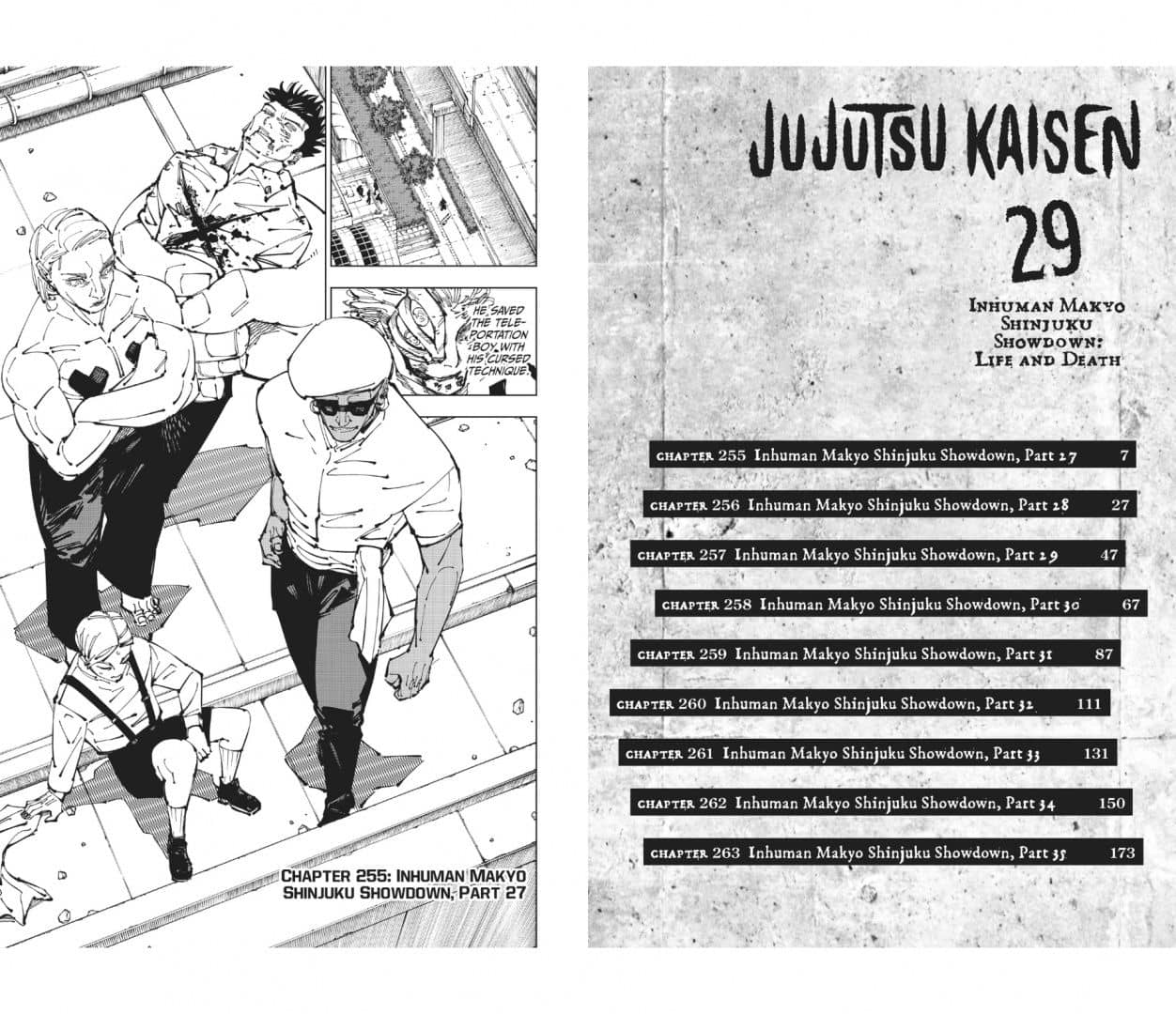 Jujutsu Kaisen. Volume 29 — Gege Akutami (2)