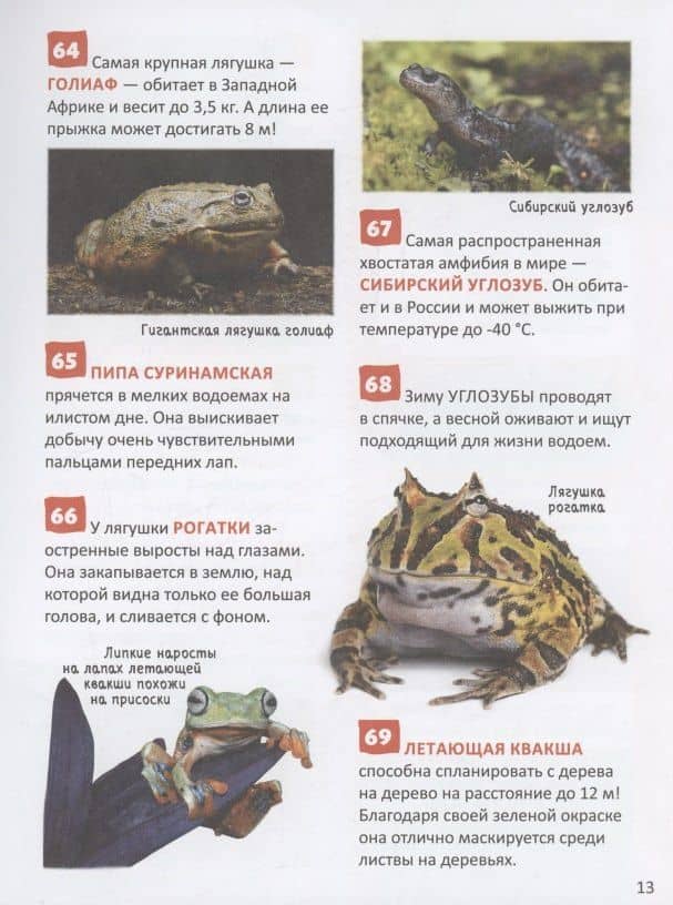 Удивительные животные. 250 фактов. Энциклопедия российского школьника (3)