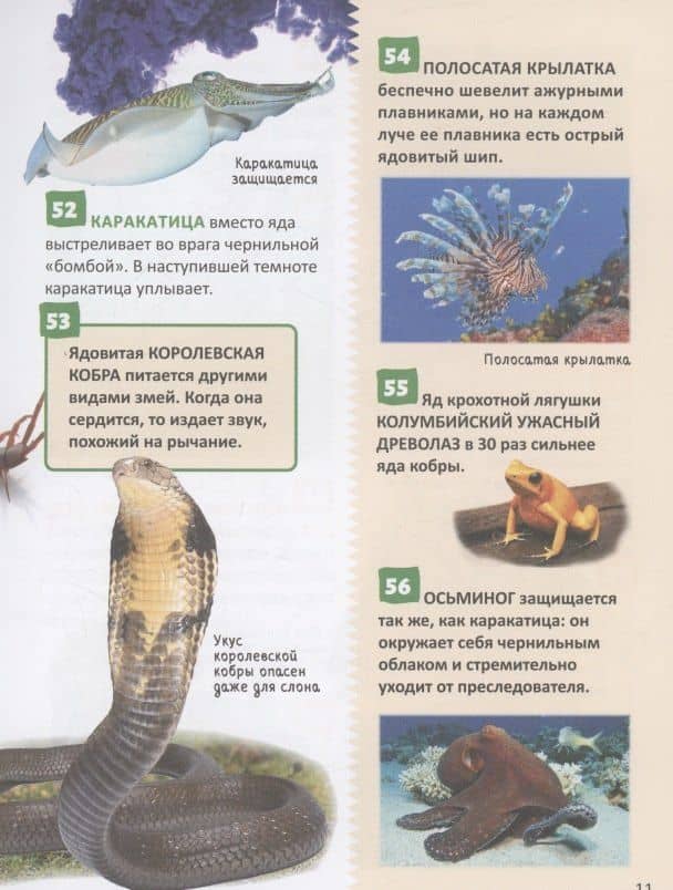 Удивительные животные. 250 фактов. Энциклопедия российского школьника (2)