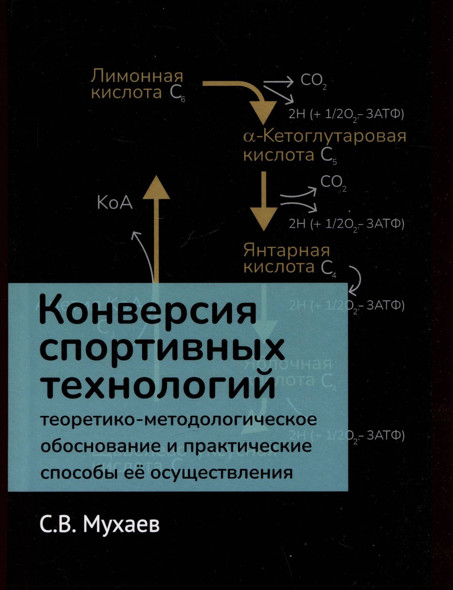 Конверсия спортивных технологий. Теоретико-методологическое обоснование и практические способы ее осуществления — Сергей Владимирович Мухаев