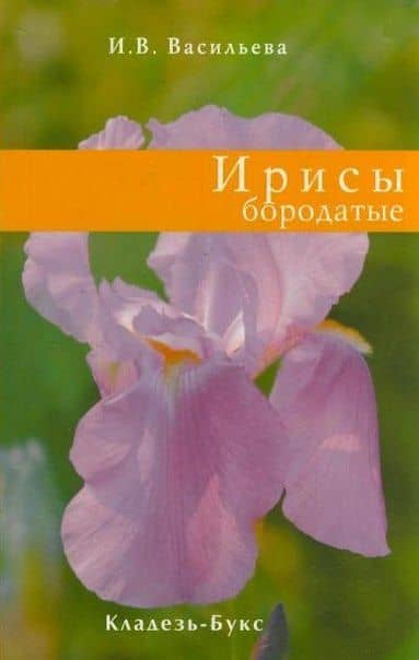 Ирисы бородатые — И. В. Васильева