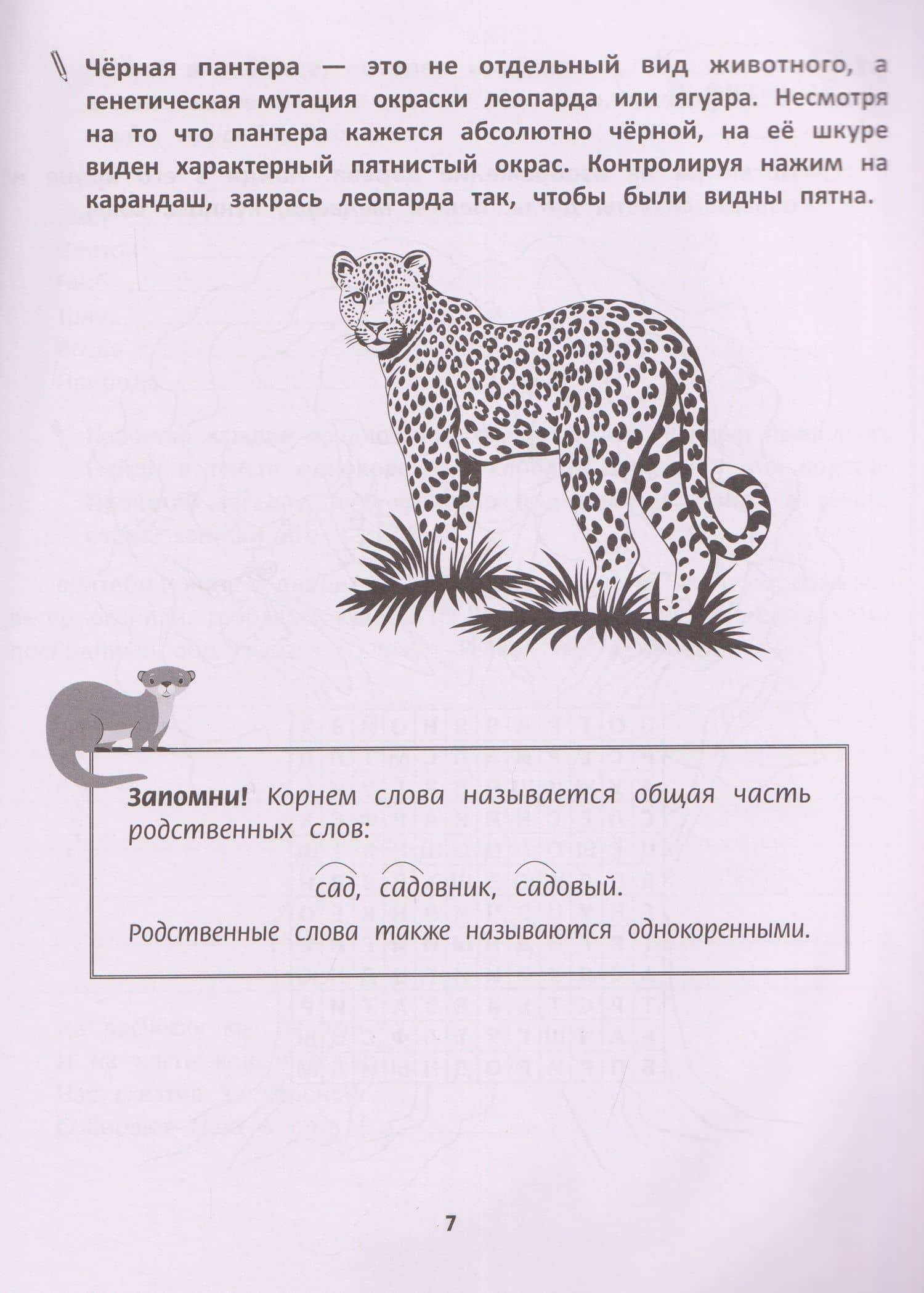 Грамотное письмо. Развитие орфографического навыка. 3 класс — Ирина Игоревна Праведникова (3)