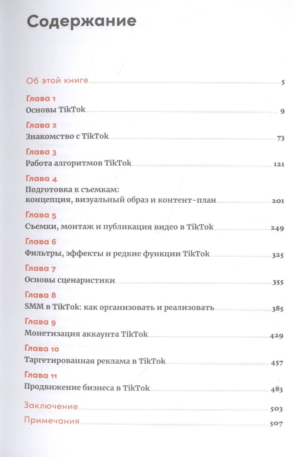 TikTok без танцев: Снимай, продавай, зарабатывай — Ренат Маратович Янбеков (2)