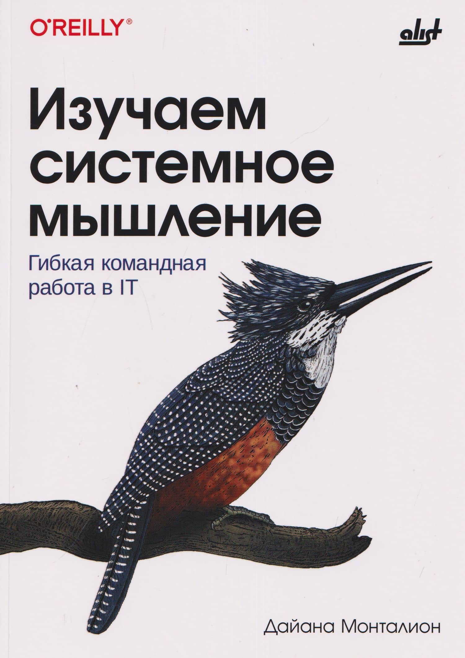 Изучаем системное мышление. Гибкая командная работа в IT — Дайана Монталион