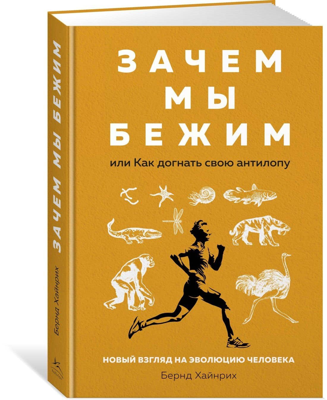 Зачем мы бежим, или Как догнать свою антилопу. Новый взгляд на эволюцию человека — Бернд Хайнрих (2)