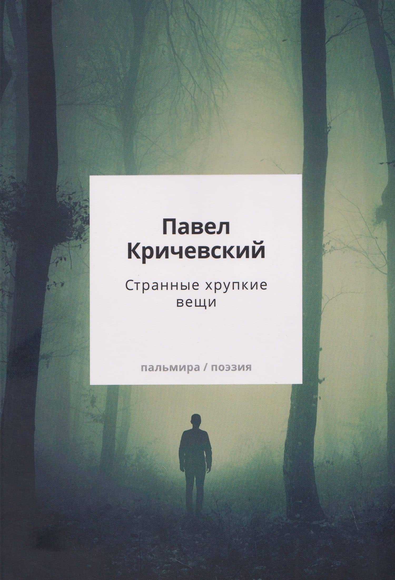 Странные хрупкие вещи — Павел Зиновьевич Кричевский