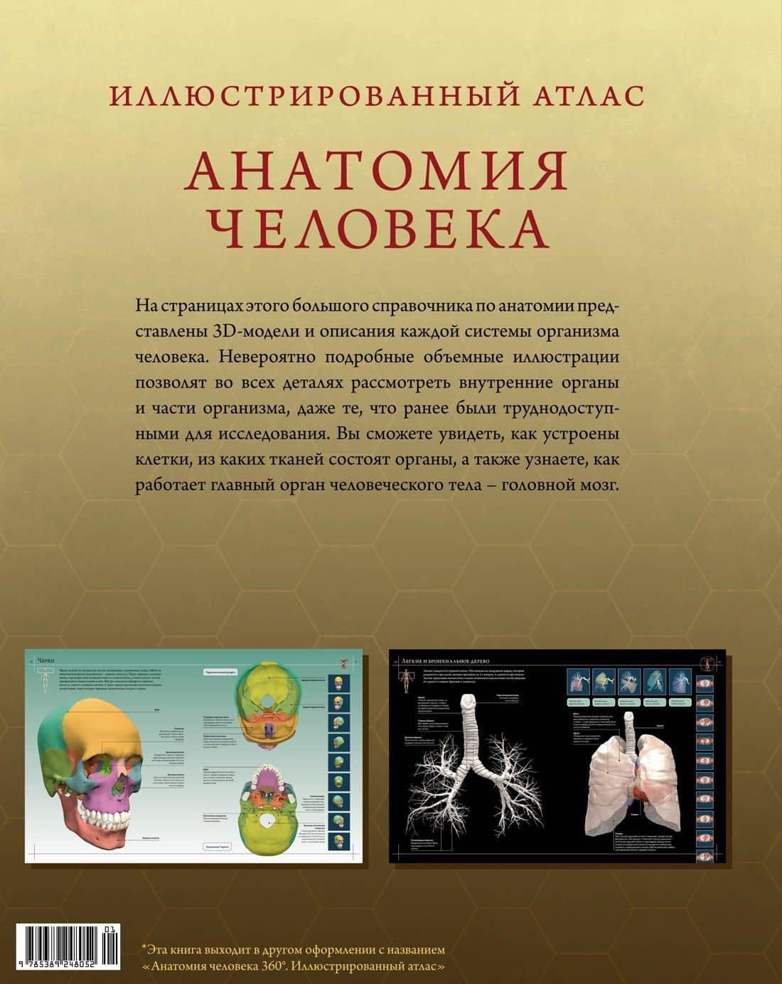 Иллюстрированный атлас. Анатомия человека — Джейми Роубак (2)