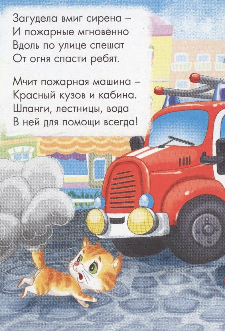 ЦК МИНИ. КТО СПЕШИТ НА ПОЖАР? — Елена Анатольевна Романова (2)