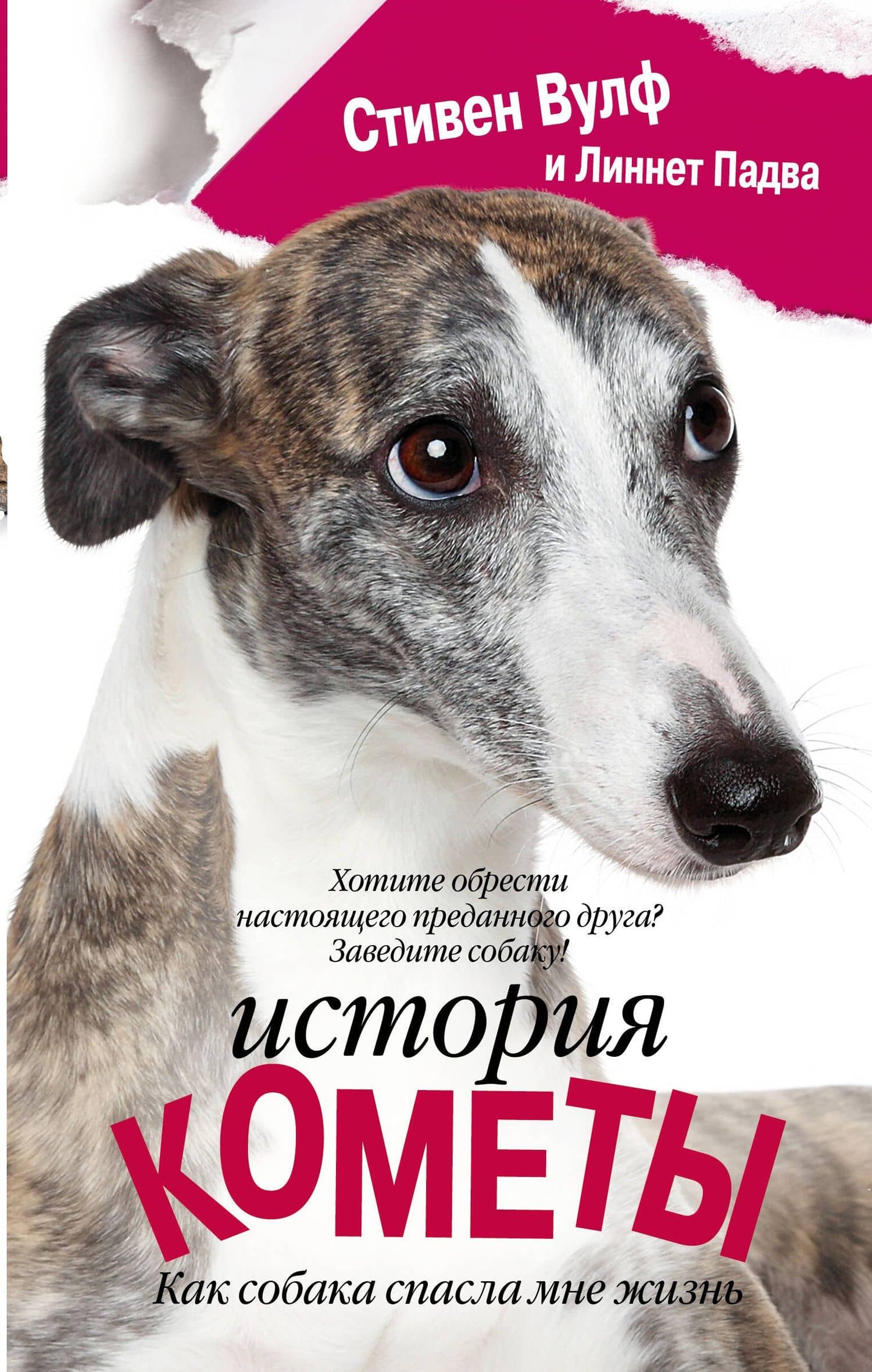 История Кометы. Как собака спасла мне жизнь : роман