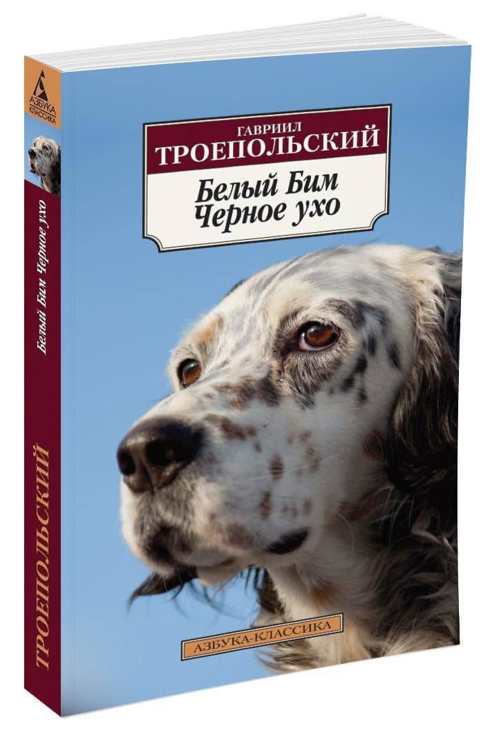Белый Бим Черное ухо — Гавриил Николаевич Троепольский (2)