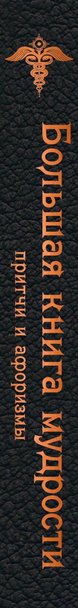 Большая книга мудрости (черная) — И. Попков (3)
