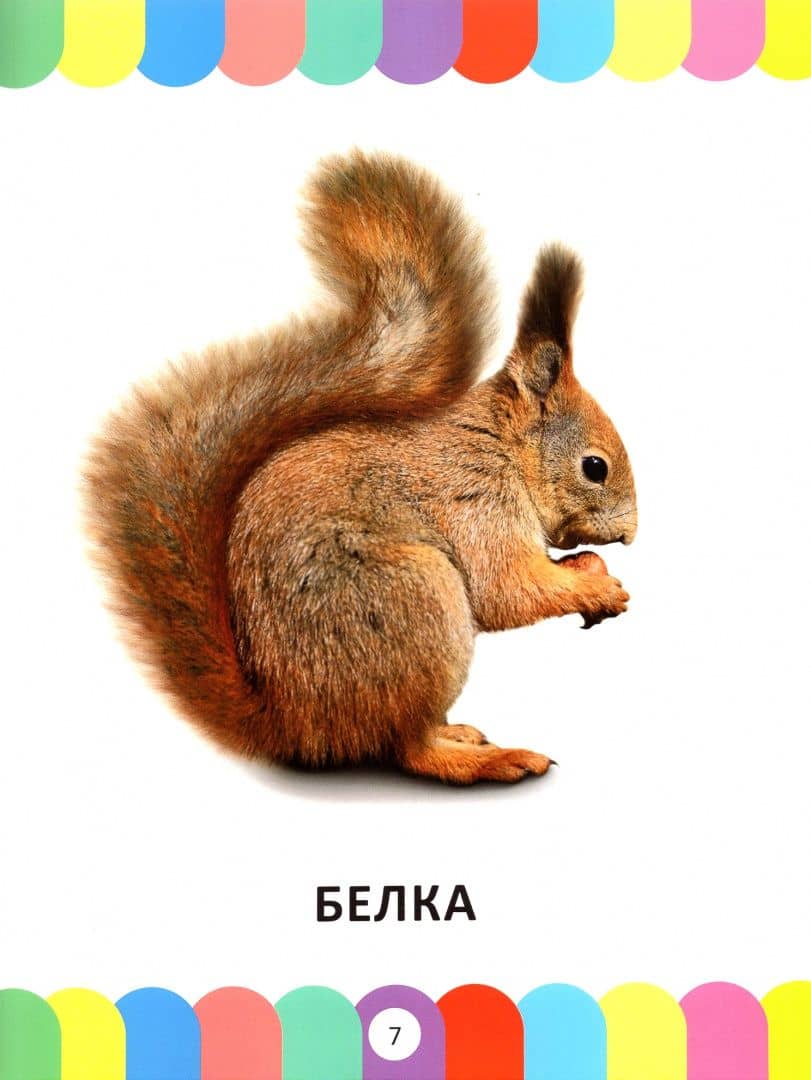 Главная книга малыша от 1 года до 3 лет. Фотокнига (3)
