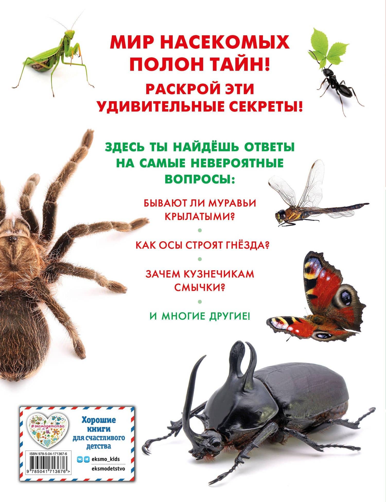 Насекомые (2)