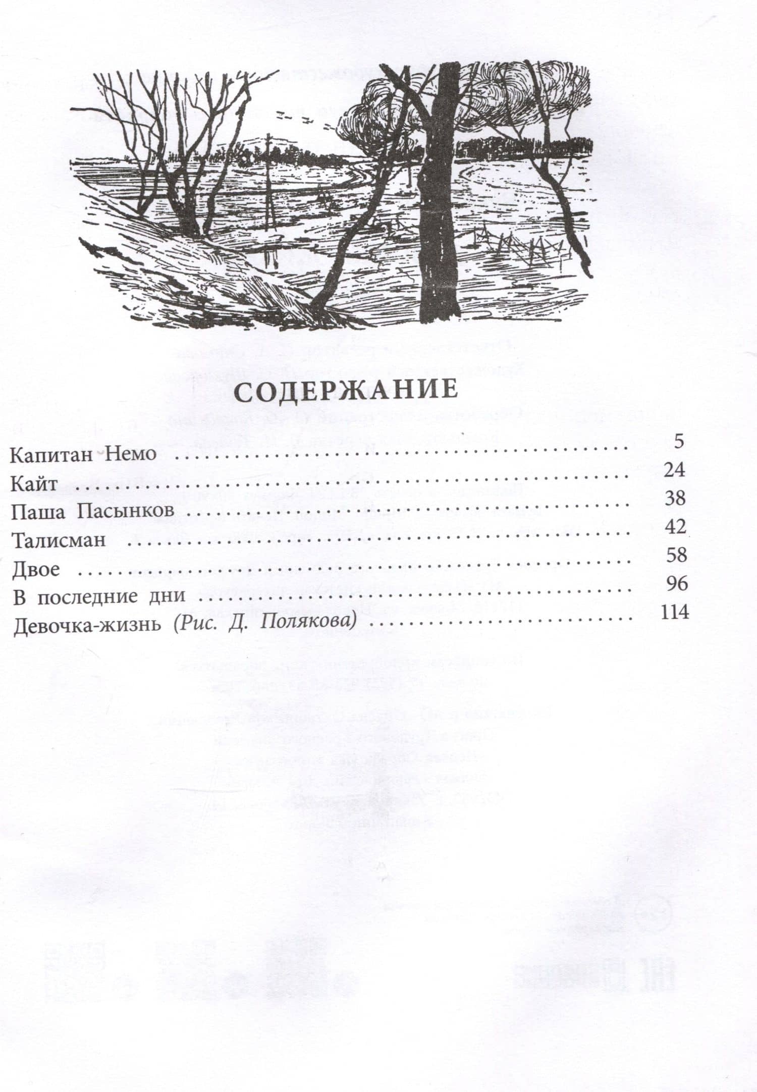 Девочка-жизнь — Николай Корнеевич Чуковский (3)
