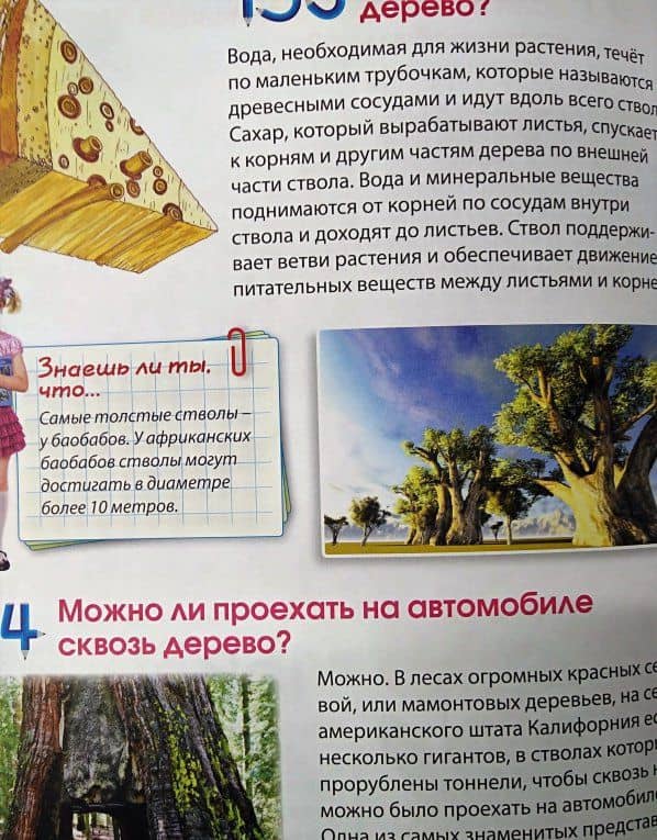 Российская детская энциклопедия в вопросах и ответах — Тамара Викторовна Скиба (3)