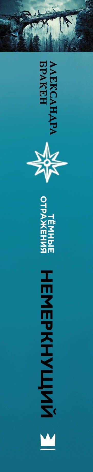 Темные отражения. Немеркнущий — Александра Бракен (3)