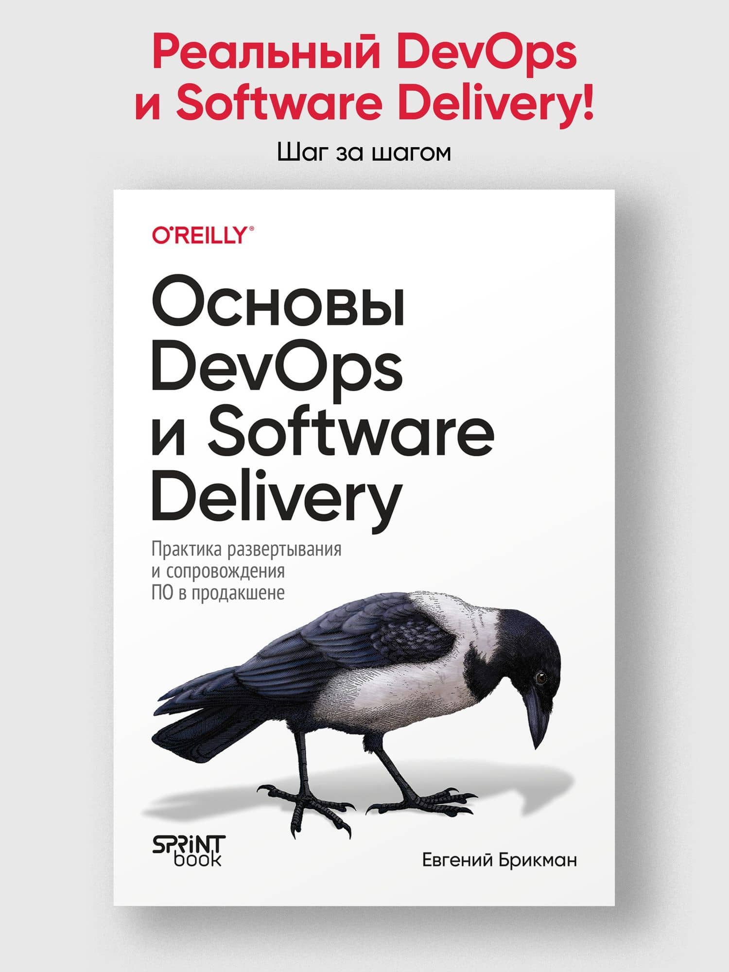 Основы DevOps и Software Delivery. Практика развертывания и сопровождения ПО в продакшене — Евгений Брикман (2)