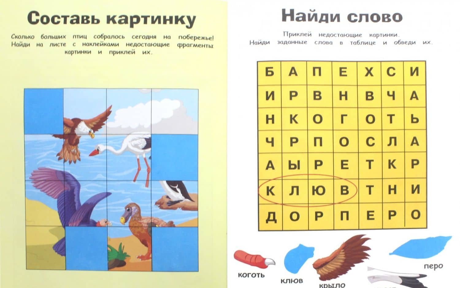 Птицы (2)